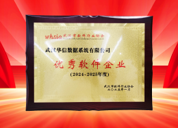 喜讯丨九五至尊官网 九五数据获评2024~2025年度武汉市软件行业&ldquo;优秀企业&rdquo;、&ldquo;优秀工作者&rdquo;荣誉称号！